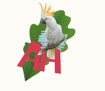 Logo de l'association Les amis d'Happy